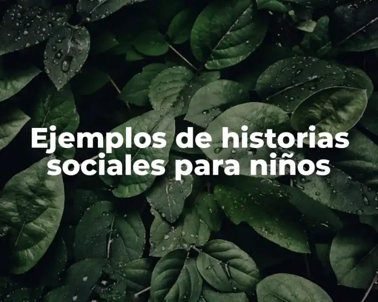 Ejemplos de historias sociales para niños