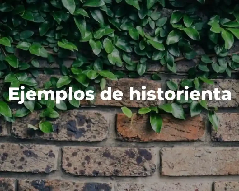 Ejemplos de historienta