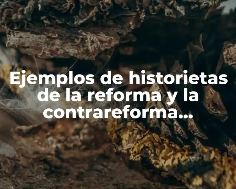 Ejemplos de historietas de la reforma y la contrareforma protestante y Significado