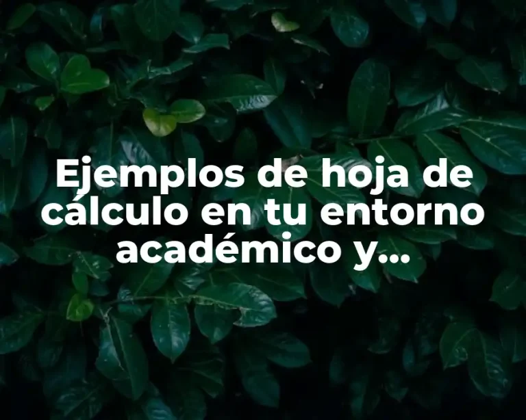 Ejemplos de hoja de cálculo en tu entorno académico y Significado