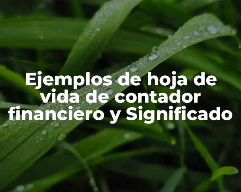 Ejemplos de hoja de vida de contador financiero y Significado