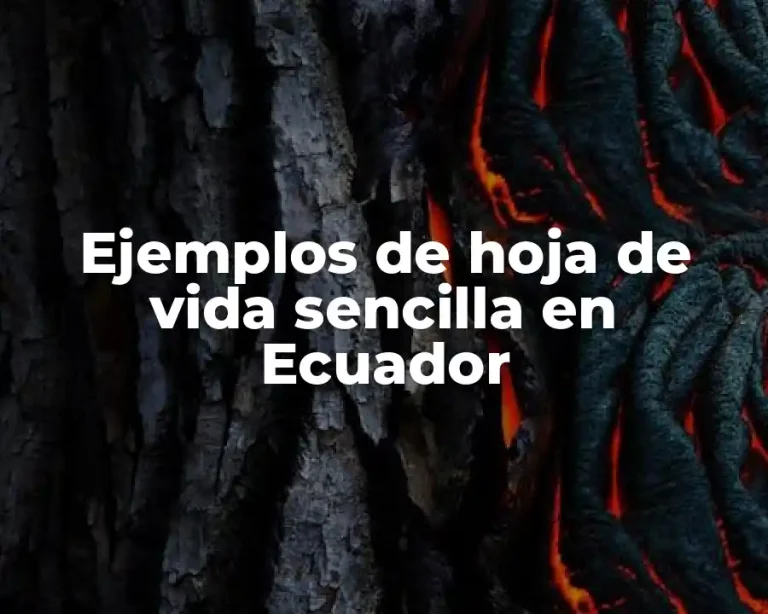 Ejemplos de hoja de vida sencilla en Ecuador