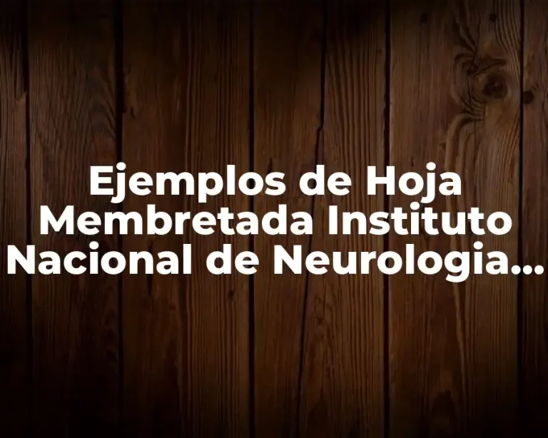 Ejemplos de Hoja Membretada Instituto Nacional de Neurologia y Significado