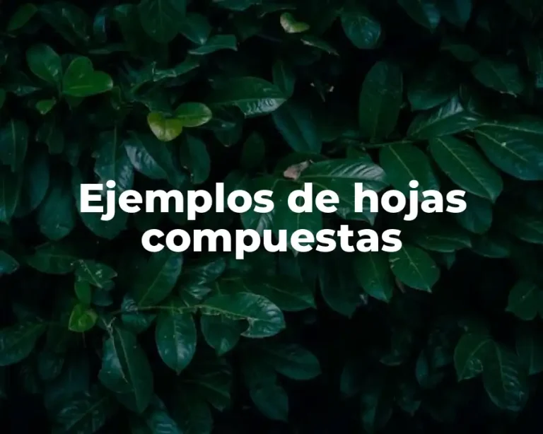 Ejemplos de hojas compuestas