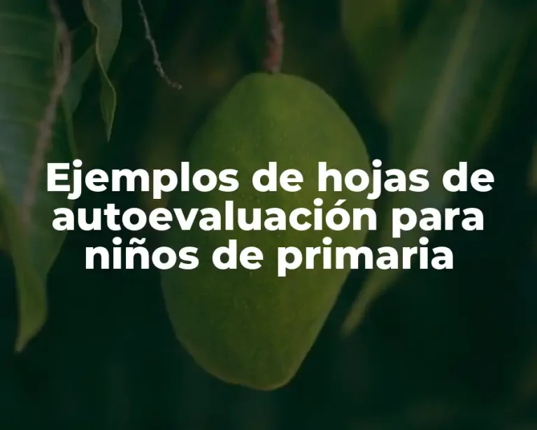 Ejemplos de hojas de autoevaluación para niños de primaria