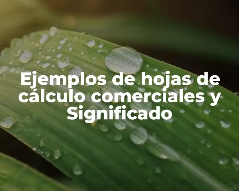 Ejemplos de hojas de cálculo comerciales y Significado