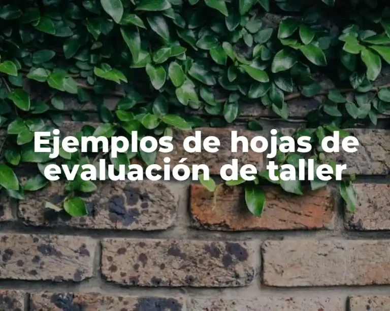 Ejemplos de hojas de evaluación de taller