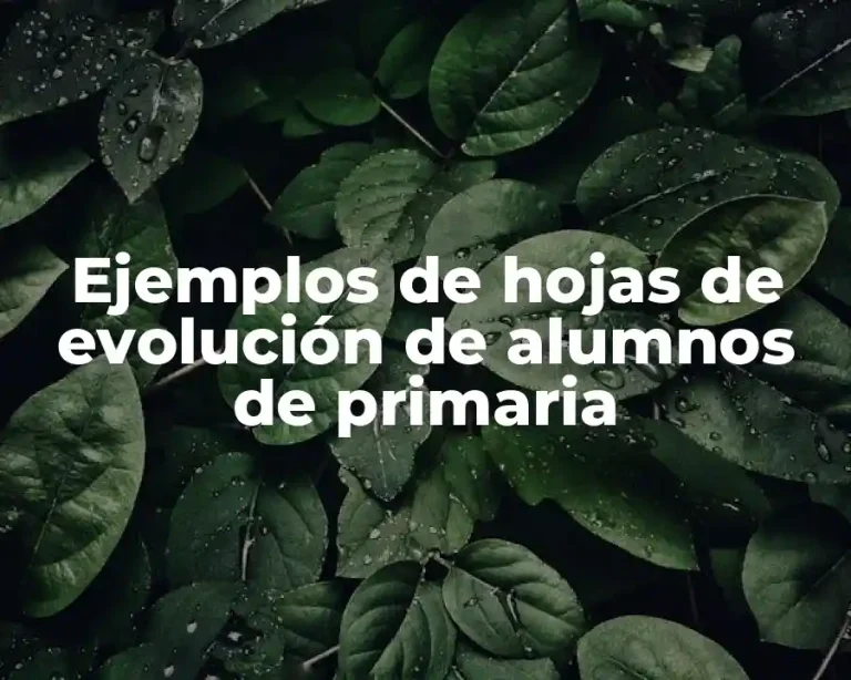 Ejemplos de hojas de evolución de alumnos de primaria