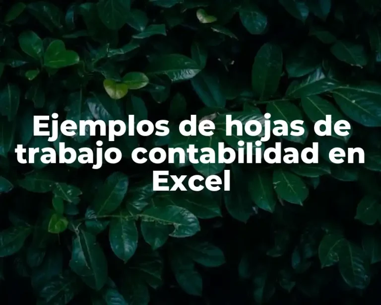 Ejemplos de hojas de trabajo contabilidad en Excel