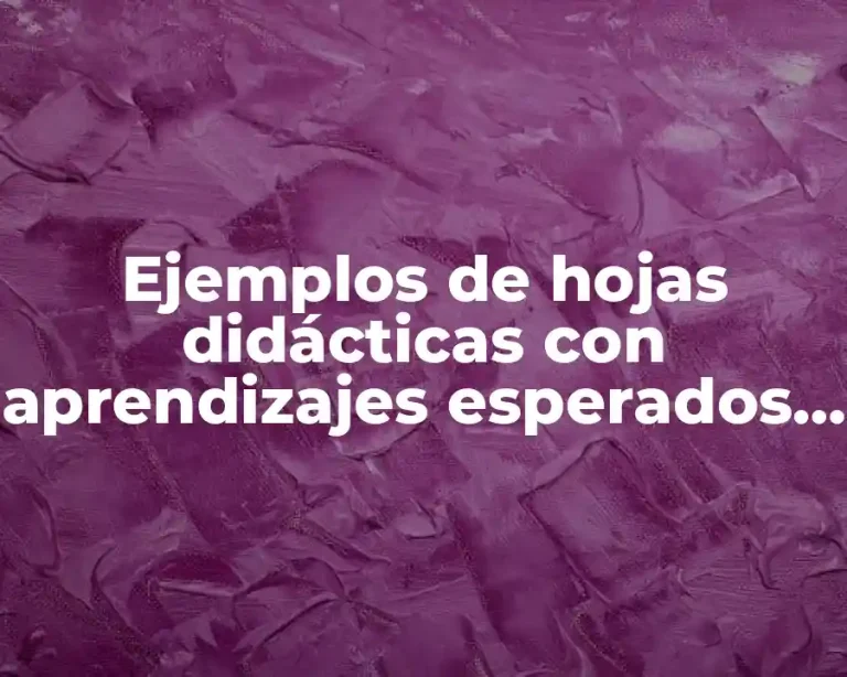Ejemplos de hojas didácticas con aprendizajes esperados nuevo modelo