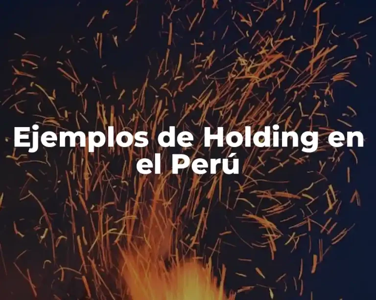 Ejemplos de Holding en el Perú