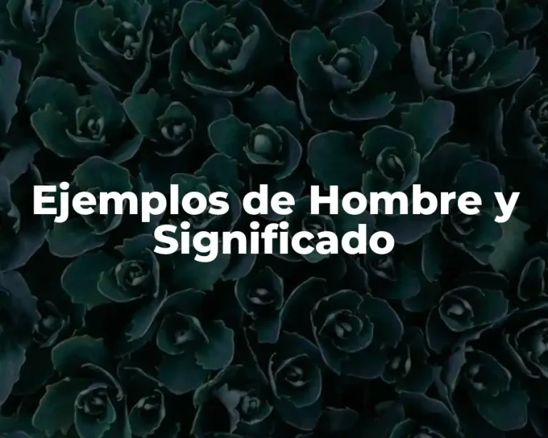 Ejemplos de Hombre y Significado