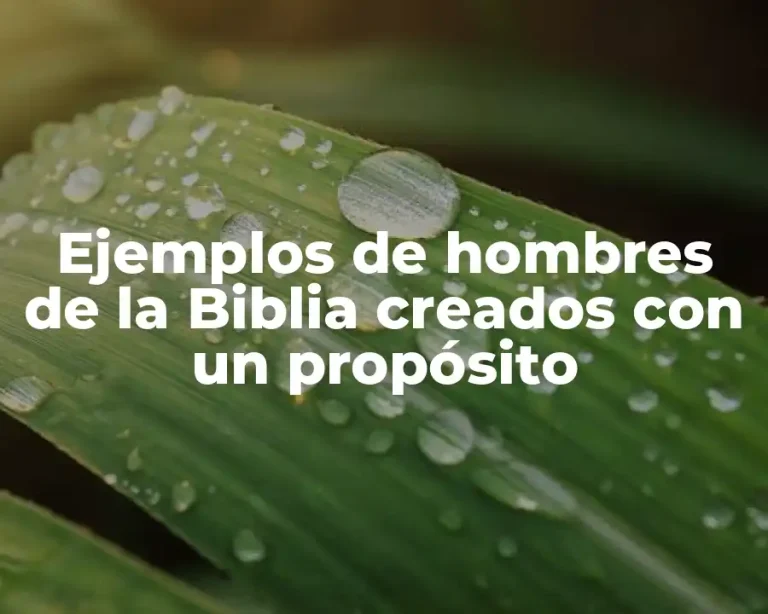 Ejemplos de hombres de la Biblia creados con un propósito