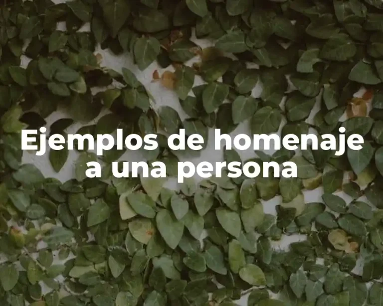 Ejemplos de homenaje a una persona