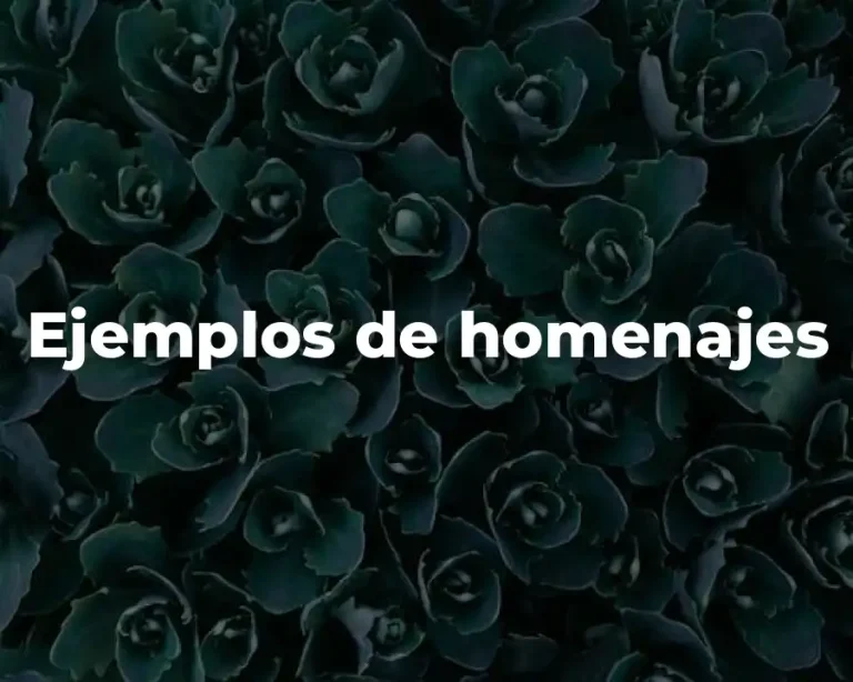 Ejemplos de homenajes