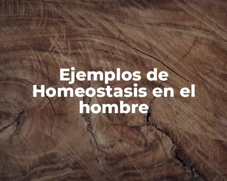 Ejemplos de Homeostasis en el hombre