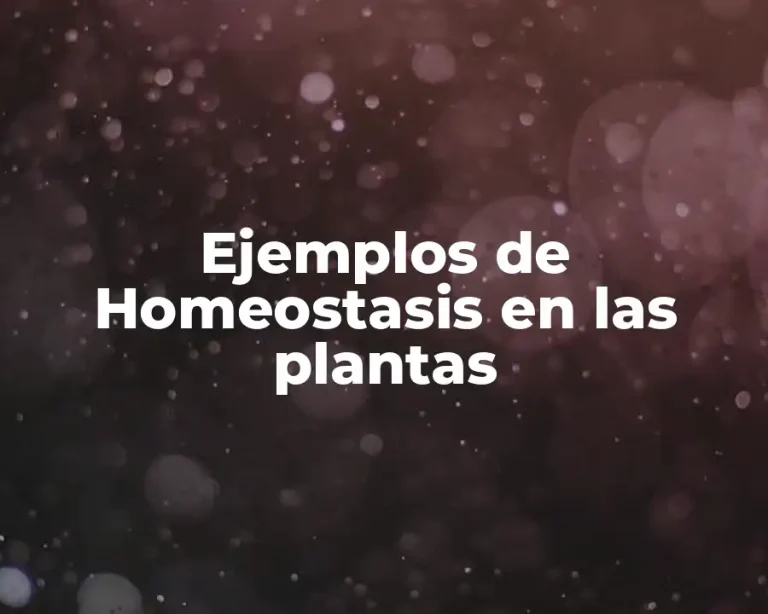 Ejemplos de Homeostasis en las plantas
