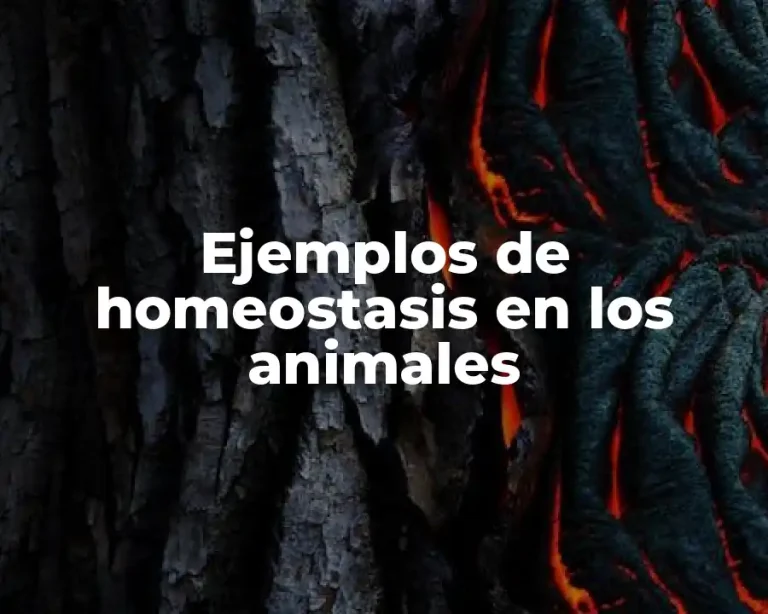 Ejemplos de homeostasis en los animales