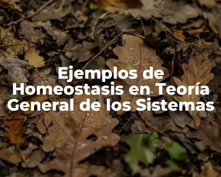 Ejemplos de Homeostasis en Teoría General de los Sistemas