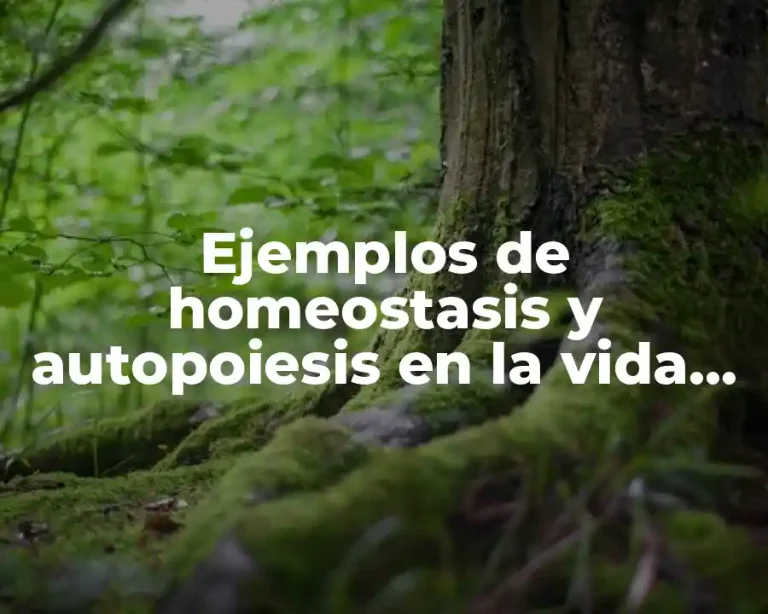 Ejemplos de homeostasis y autopoiesis en la vida cotidiana