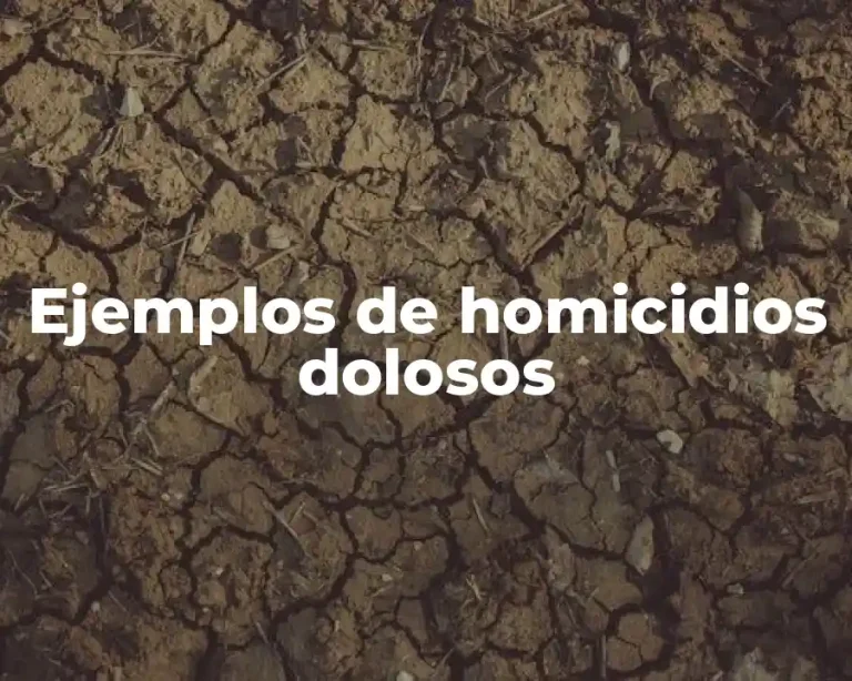 Ejemplos de homicidios dolosos