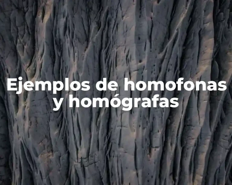 Ejemplos de homofonas y homógrafas