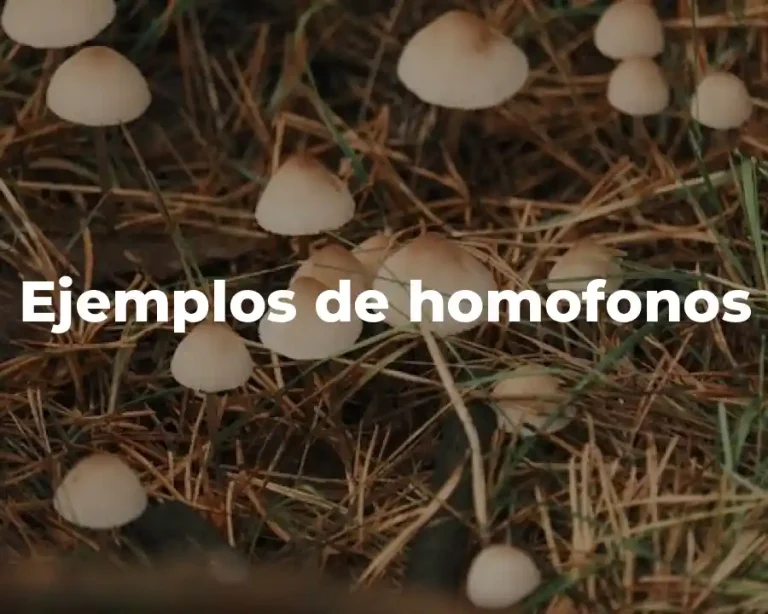 Ejemplos de homofonos