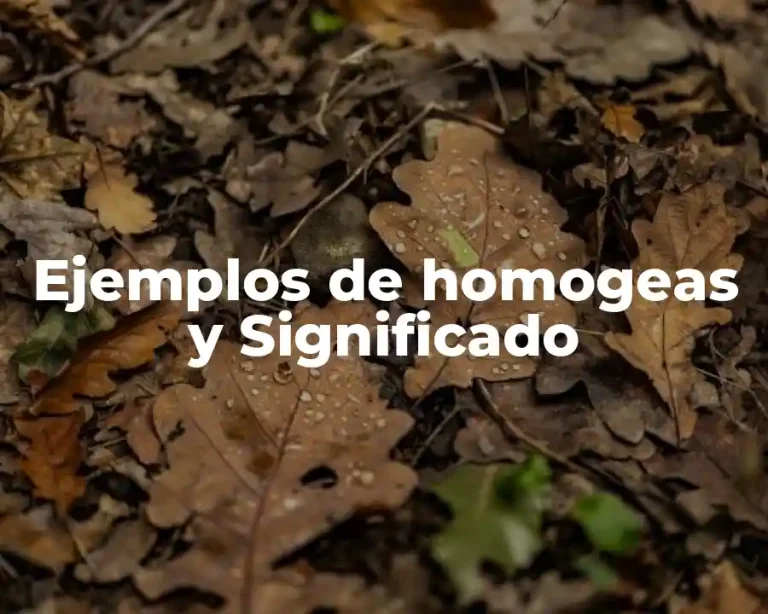 Ejemplos de homogeas y Significado
