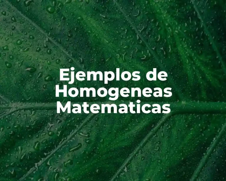 Ejemplos de Homogeneas Matematicas