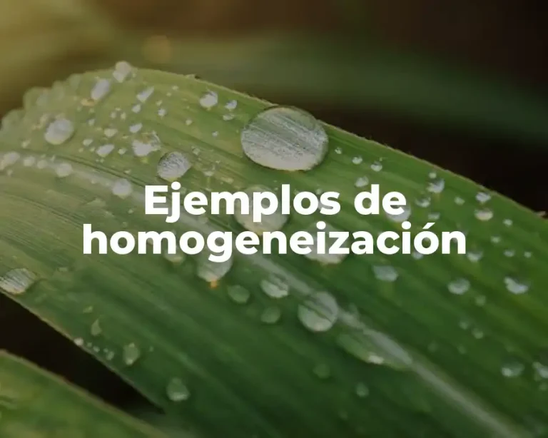 Ejemplos de homogeneización