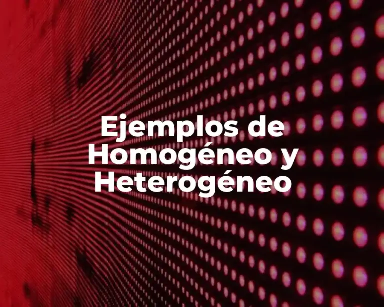 Ejemplos de Homogéneo y Heterogéneo
