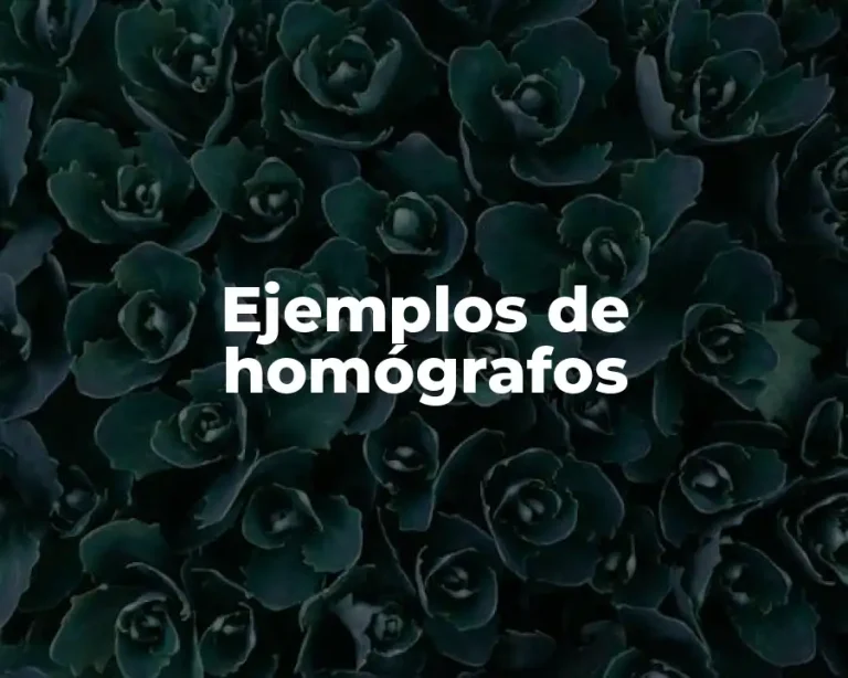 Ejemplos de homógrafos