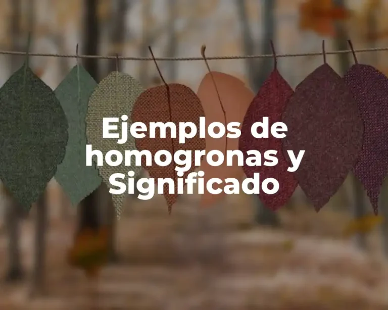 Ejemplos de homogronas y Significado