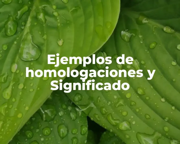 Ejemplos de homologaciones y Significado