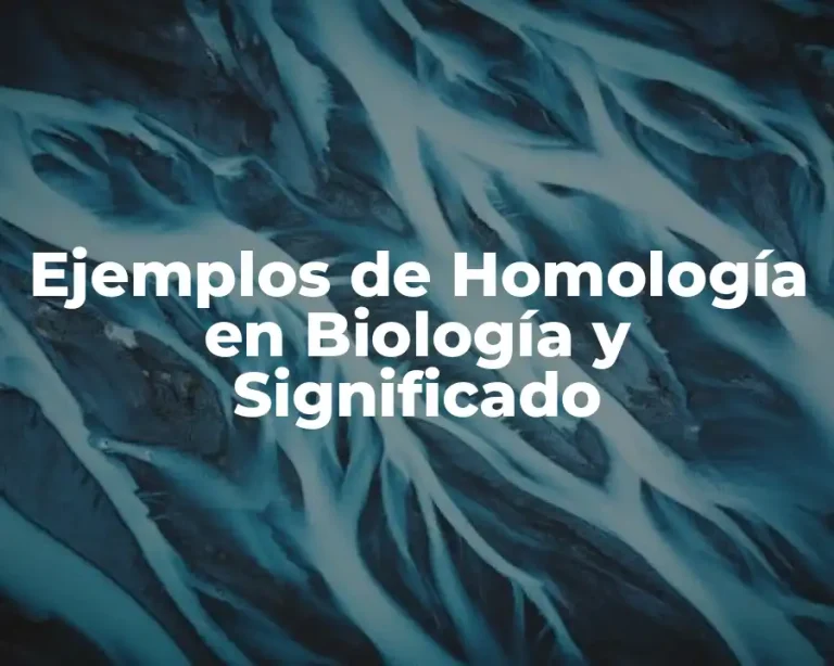 Ejemplos de Homología en Biología y Significado
