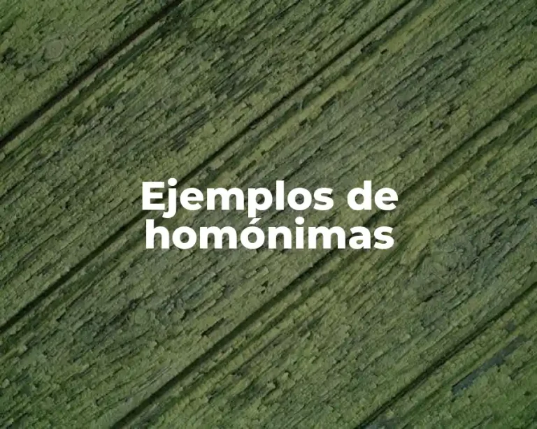 Ejemplos de homónimas