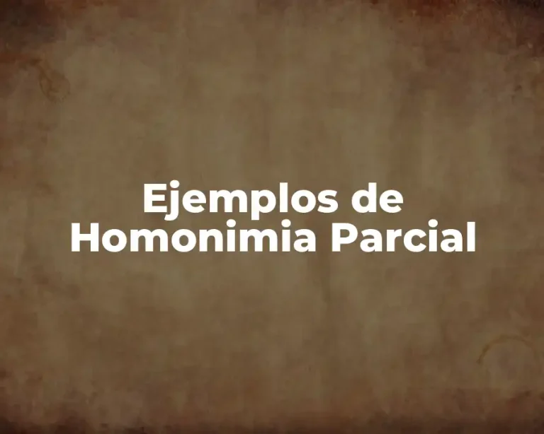Ejemplos de Homonimia Parcial