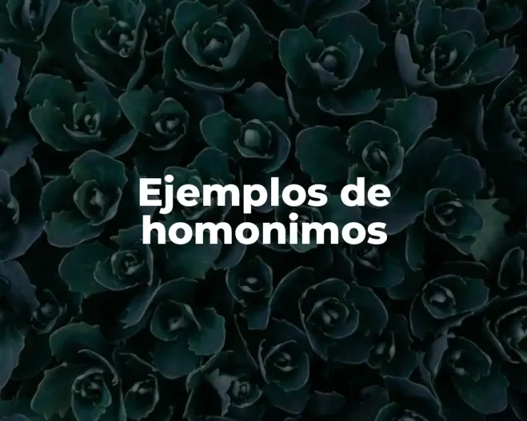 Ejemplos de homonimos