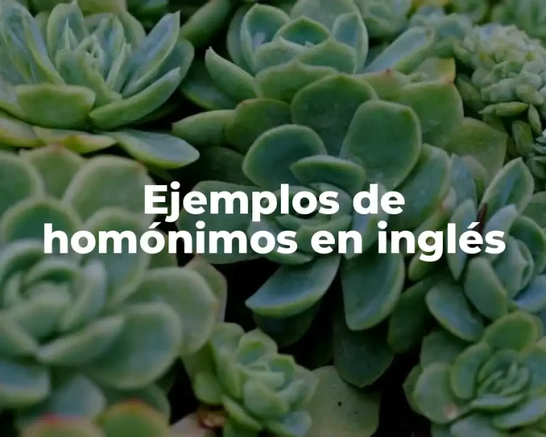 Ejemplos de homónimos en inglés