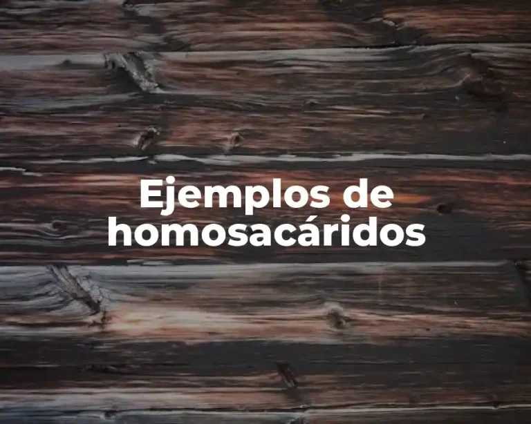 Ejemplos de homosacáridos