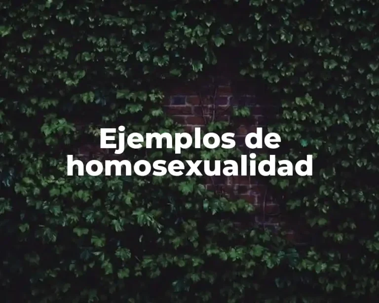 Ejemplos de homosexualidad