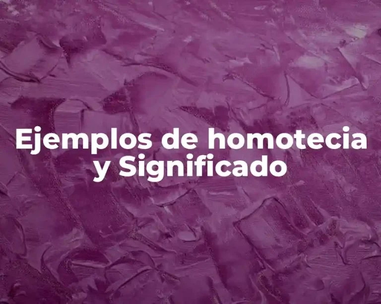 Ejemplos de homotecia y Significado