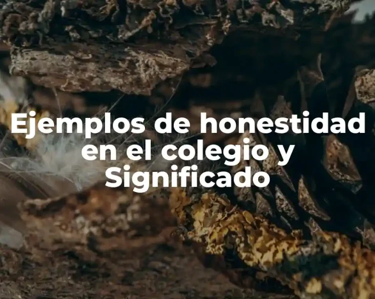 Ejemplos de honestidad en el colegio y Significado