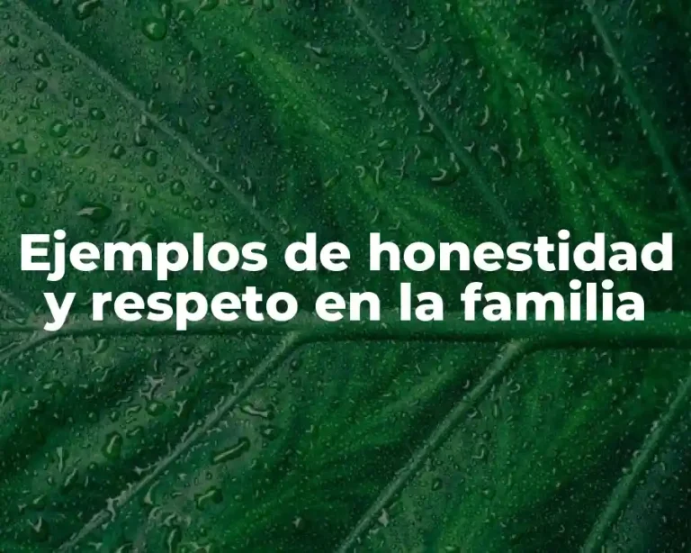 Ejemplos de honestidad y respeto en la familia