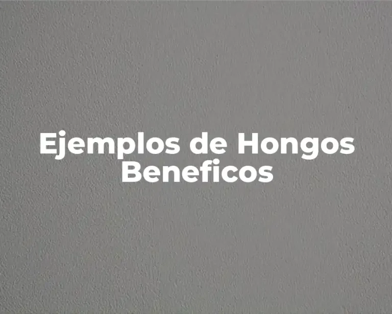 Ejemplos de Hongos Beneficos