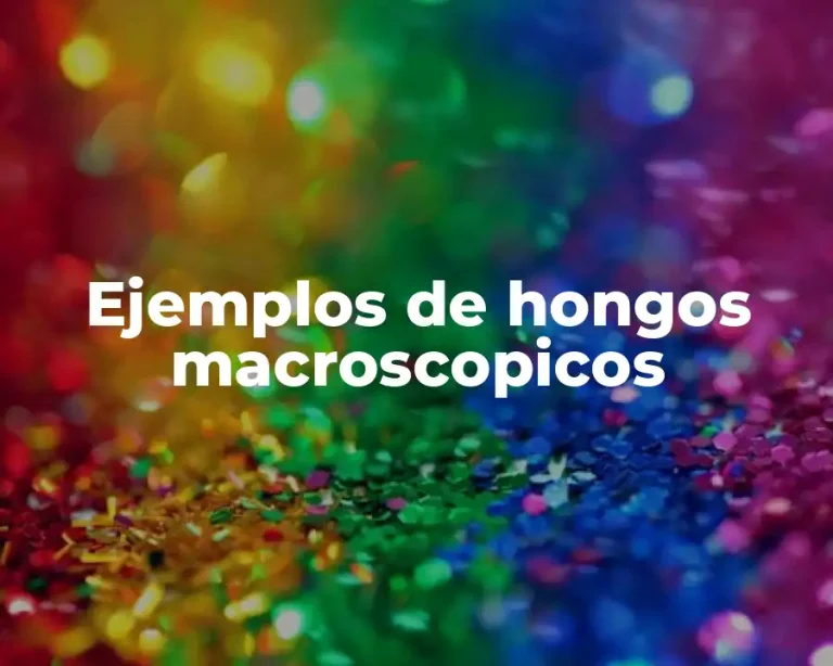 Ejemplos de hongos macroscopicos