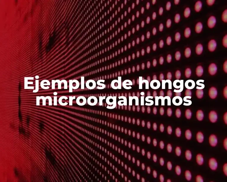 Ejemplos de hongos microorganismos