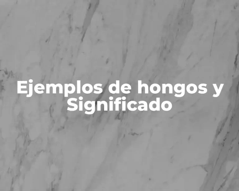 Ejemplos de hongos y Significado