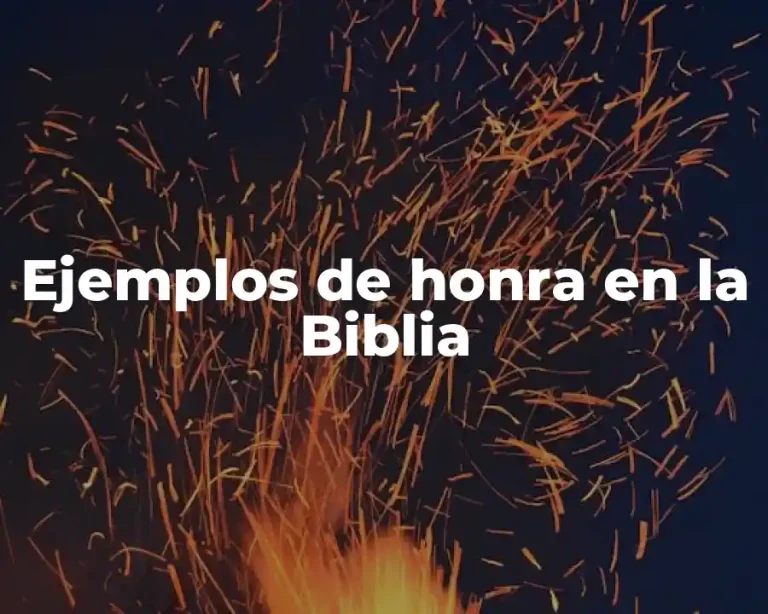 Ejemplos de honra en la Biblia