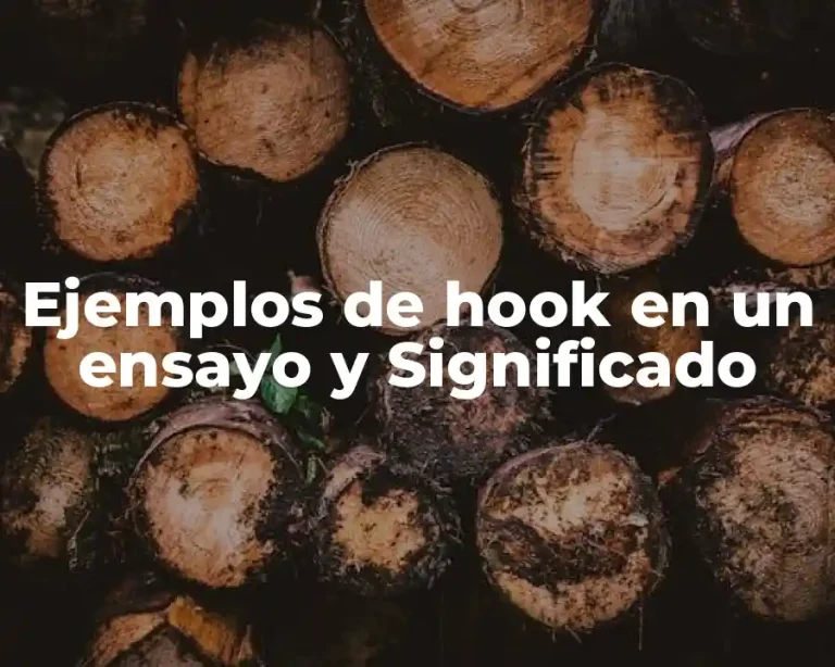 Ejemplos de hook en un ensayo y Significado